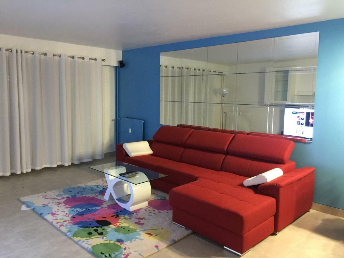 Grand Appartement A Louer Vue Sur Seine ムラン エクステリア 写真