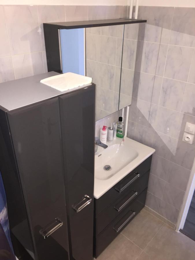 Grand Appartement A Louer Vue Sur Seine ムラン エクステリア 写真
